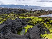 Baia do Calhau Lavaküste gegen Insel São Jorge - Insel Pico